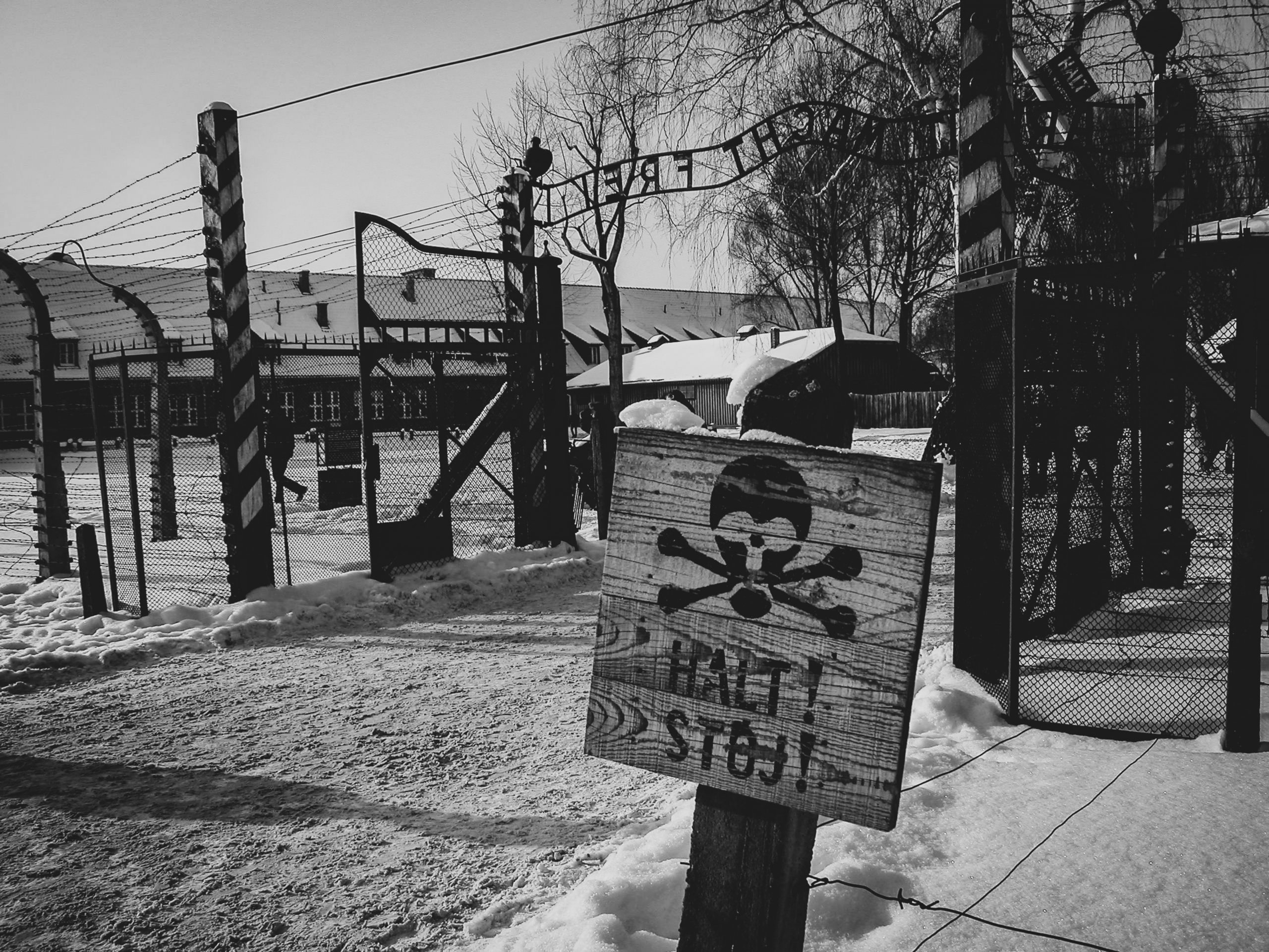 Museum Auschwitz